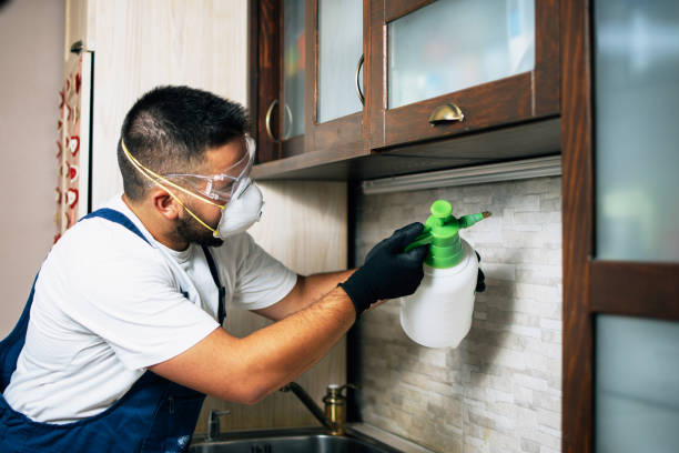 Best Mosquito Control Services  in Jamestown, TN