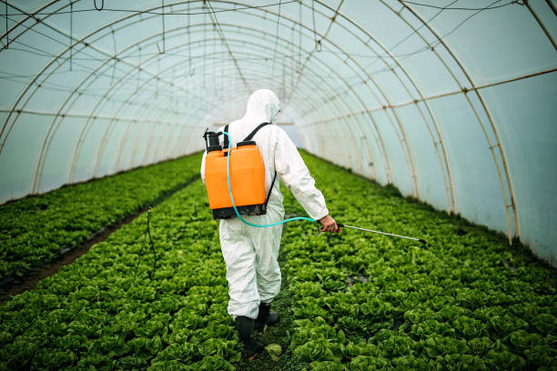 Best Pest Control Near Me  in Jamestown, TN