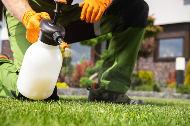 Best Flea Control Services  in Jamestown, TN