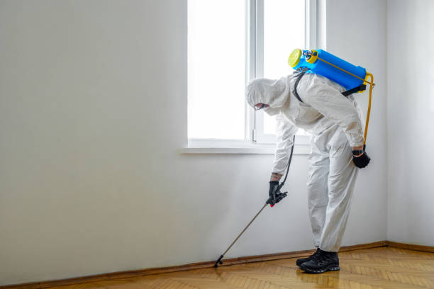Best Bed Bug Extermination  in Jamestown, TN