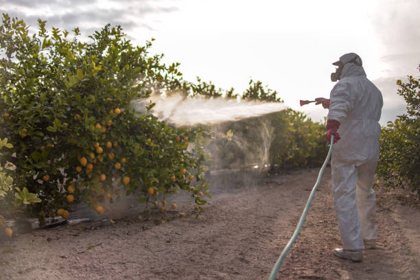 Best Pest Removal Services  in Jamestown, TN