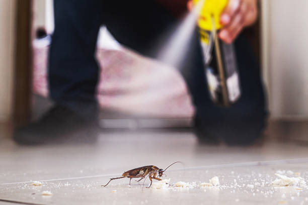 Best Best Pest Control Companies  in Jamestown, TN